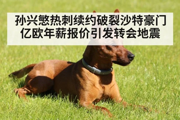 孙兴慜热刺续约破裂沙特豪门亿欧年薪报价引发转会地震