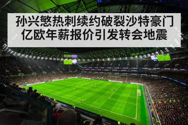 Tottenham Hotspur stadium