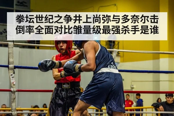 拳坛世纪之争井上尚弥与多奈尔击倒率全面对比雏量级最强杀手是谁